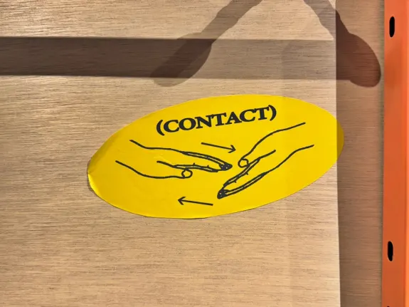 Wunderino Casino Ënnerstëtzung